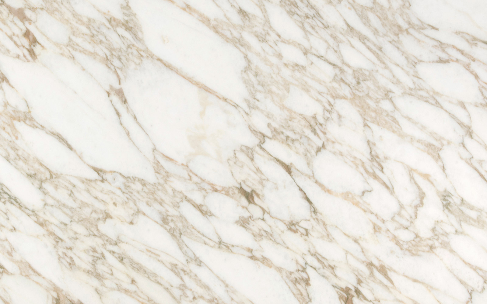 Calacatta Vagli marble slab sample