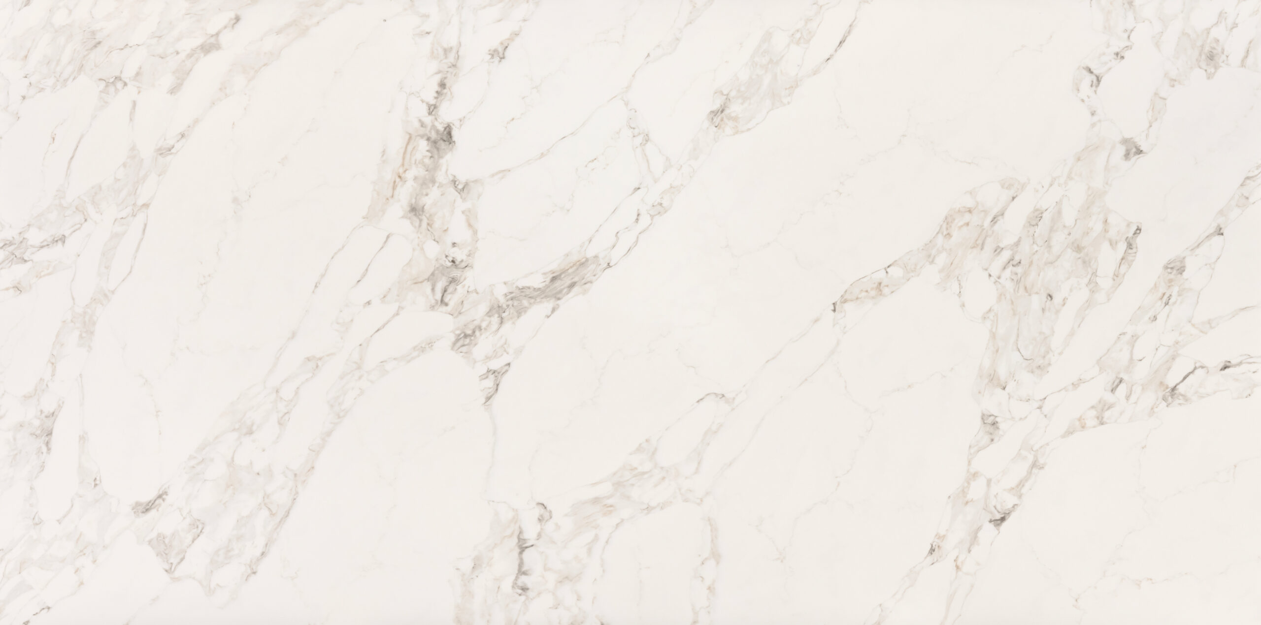 Regal Arabescato Gold quartz slab sample